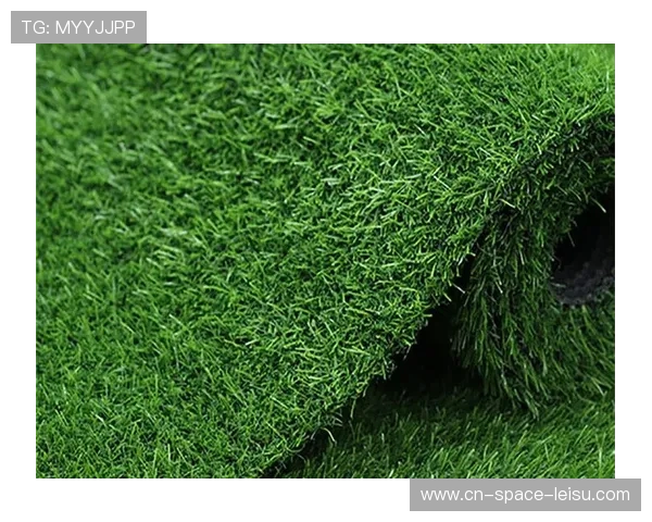 德甲冬季场地维护挑战：埃尔福特人工草皮关闭引训练危机